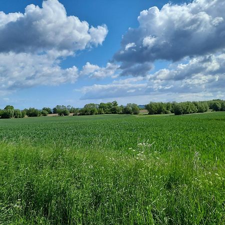 Pension Landidylle Wohlenhagen Exteriér fotografie