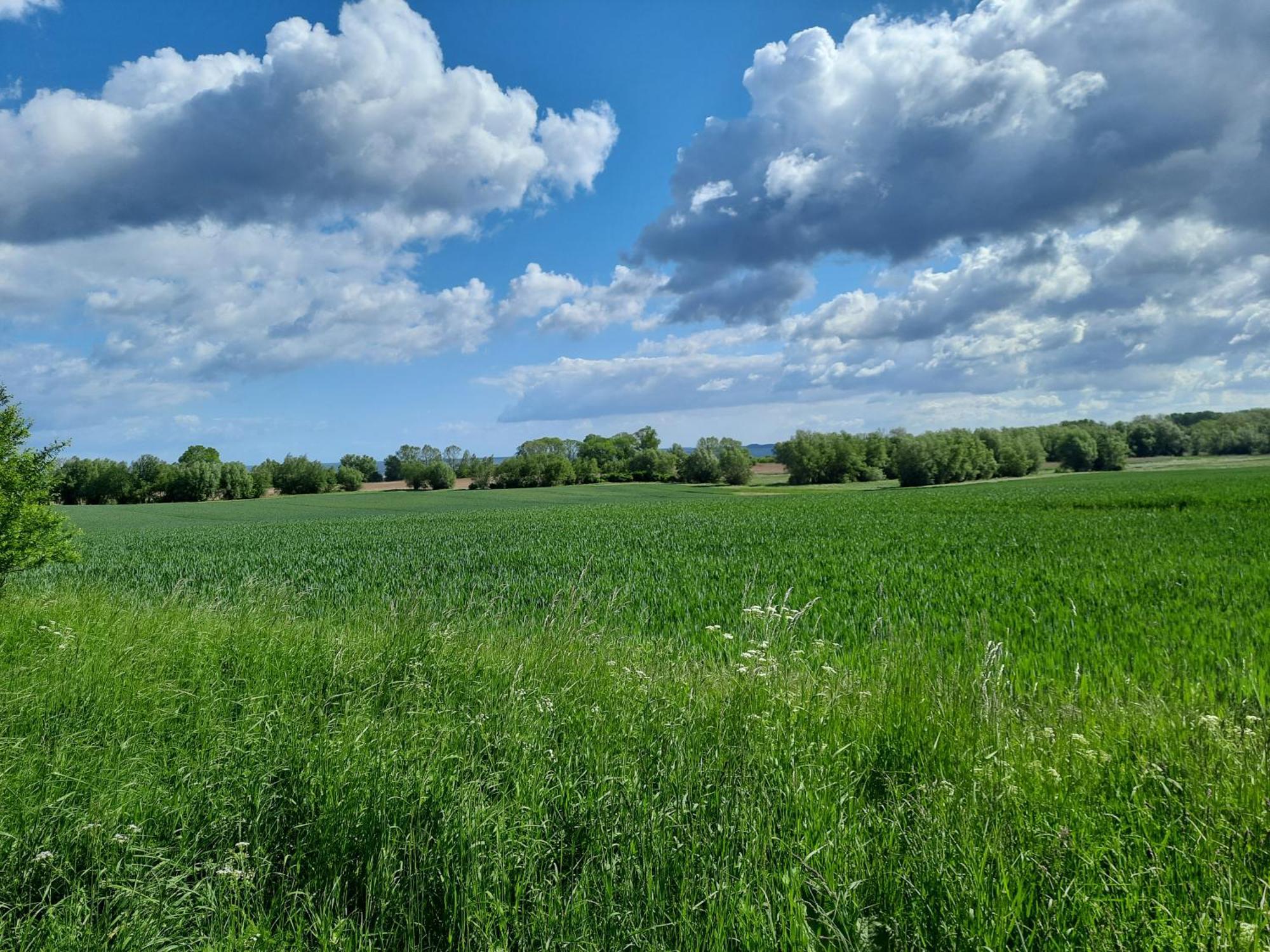 Pension Landidylle Wohlenhagen Exteriér fotografie